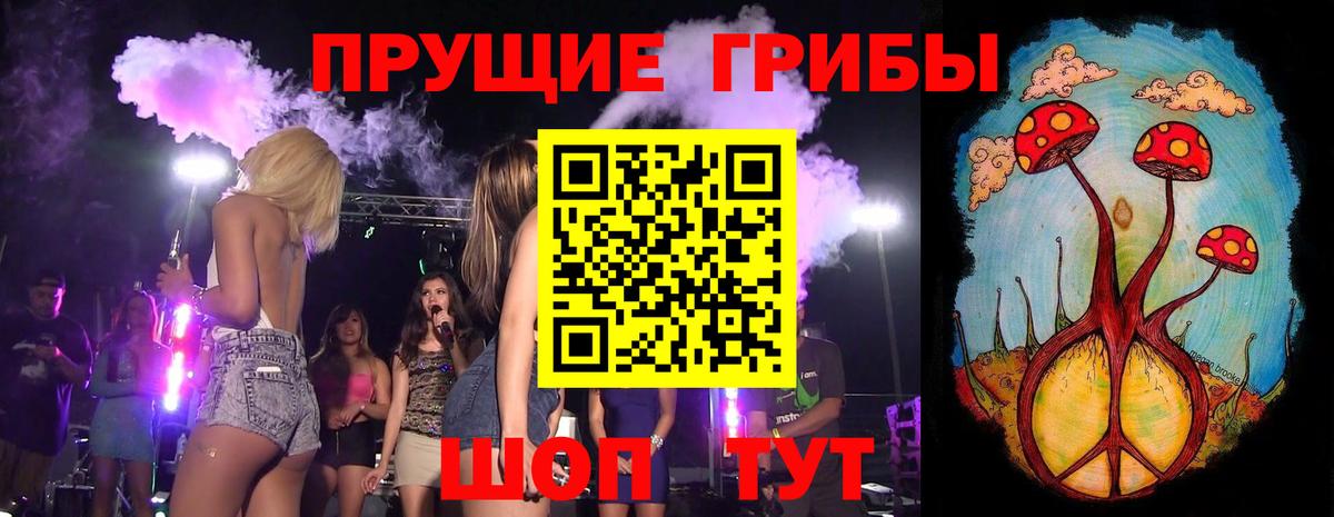 Псилоцибиновые грибы Cubensis Сургут