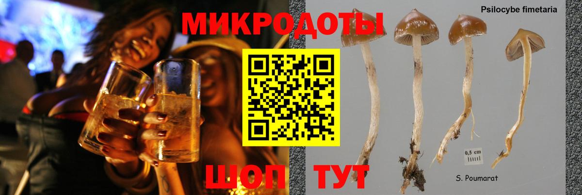 Сургут  Галлюциногенные грибы ЛСД  Вход с VPN 